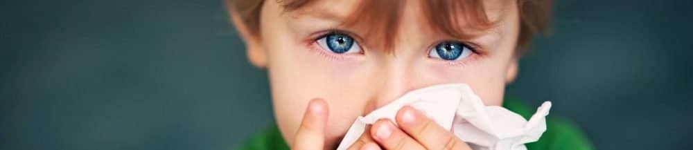 Air Scrubber - Hoffmann Brothers